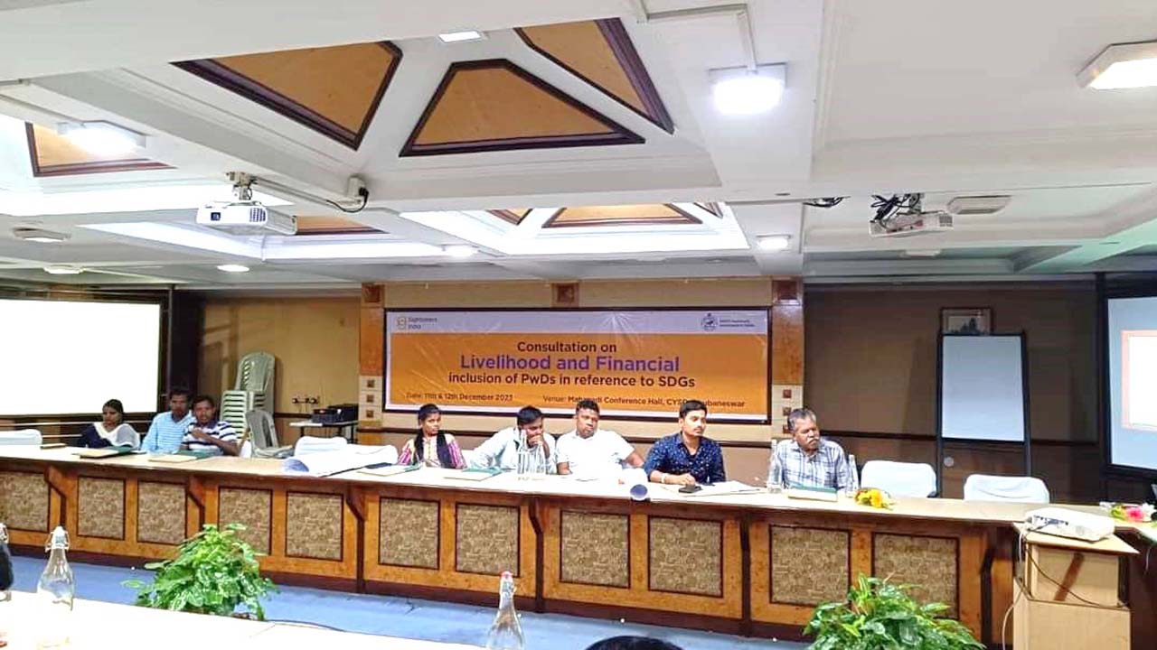 Consultation on Livelihood and Financial inclusion of PwDs in reference to SDGs Image