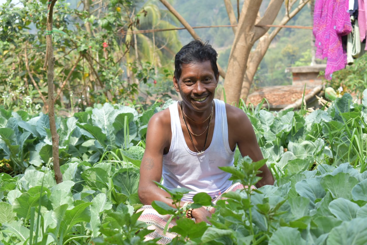 Poultry Distribution